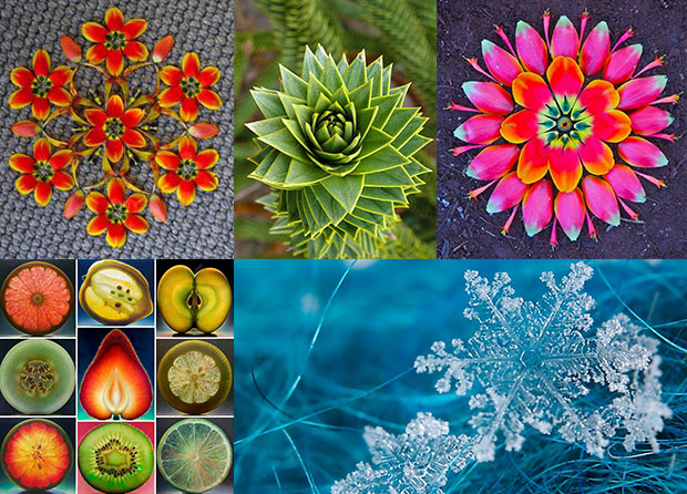 articulos-que-son-los-mandalas-04